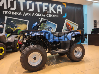 Квадроцикл IRBIS (Ирбис) ATV 250 2024 синий с ПСМ